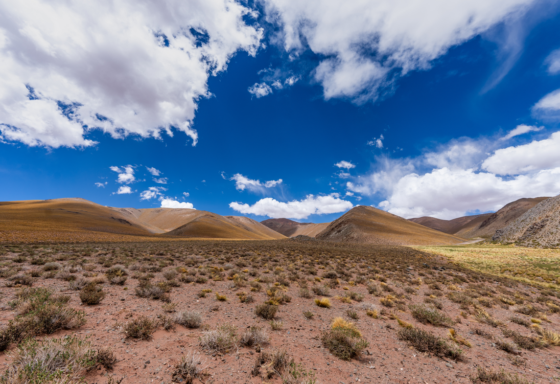 Elaboración de Informes de Impacto Ambiental (EIA)