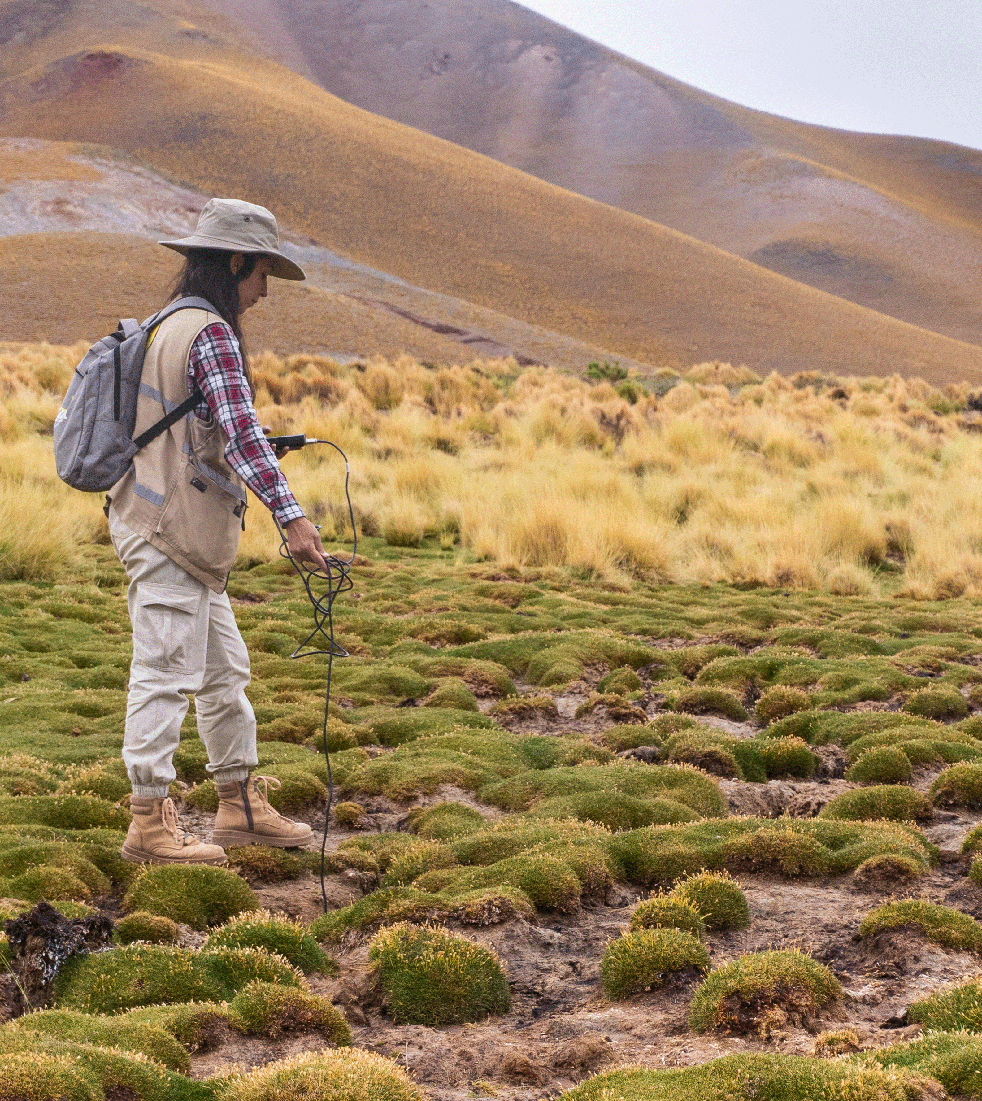Monitoreo y Seguimiento Ambiental